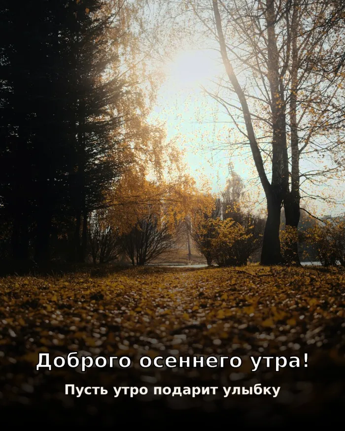 Красивые картинки Доброе утро осени. Открытки с добрым осенним утром — скачать бесплатно