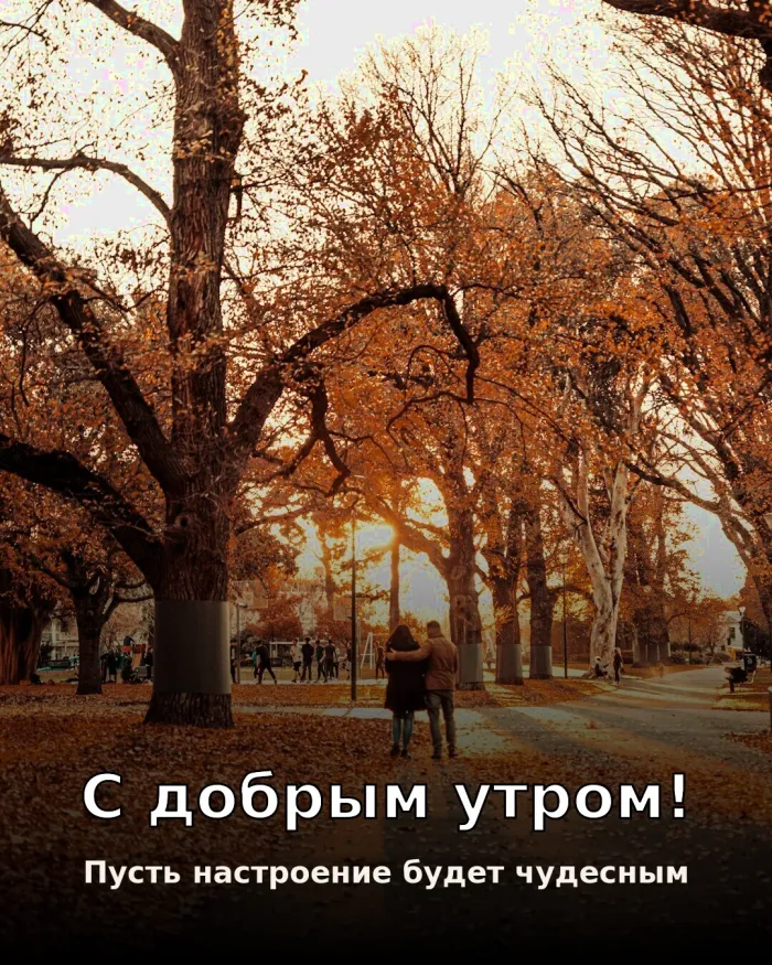 Красивые картинки Доброе утро осени. Открытки с добрым осенним утром — скачать бесплатно