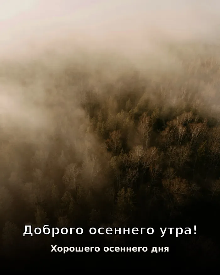 Красивые картинки Доброе утро осени. Красивые картинки «Доброе утро осени»