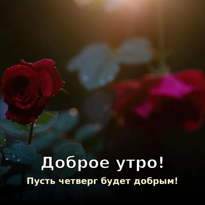 Картинки с Добрым утром четверга. С добрым утром четверга