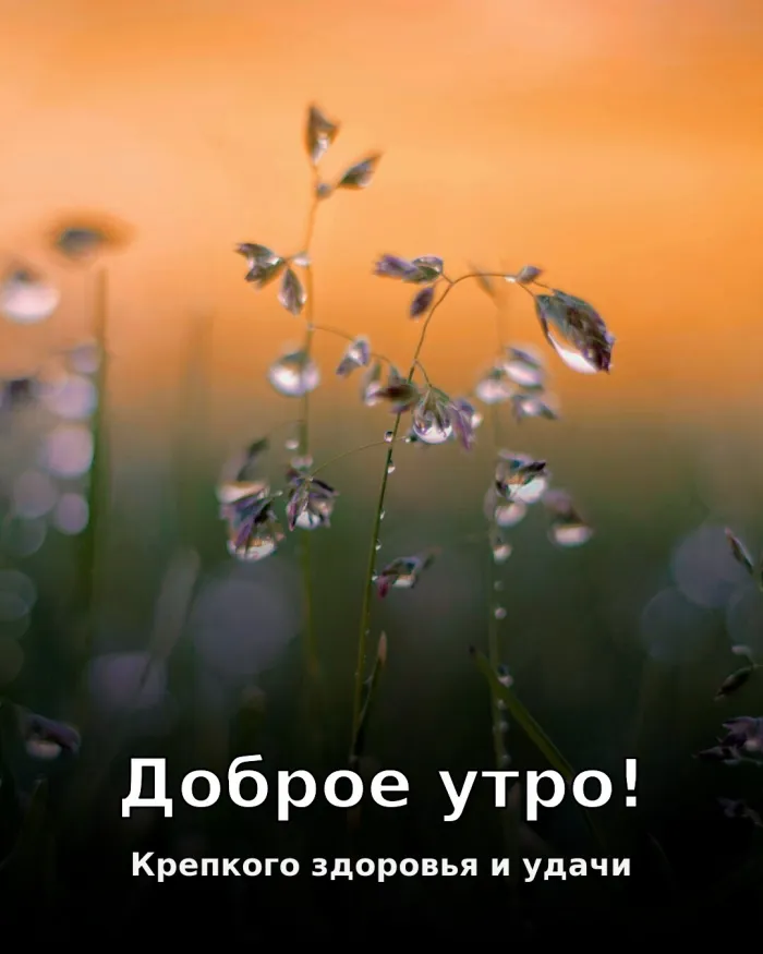 Картинки Доброго здоровья. С добрым утром — здоровья и бодрости на день