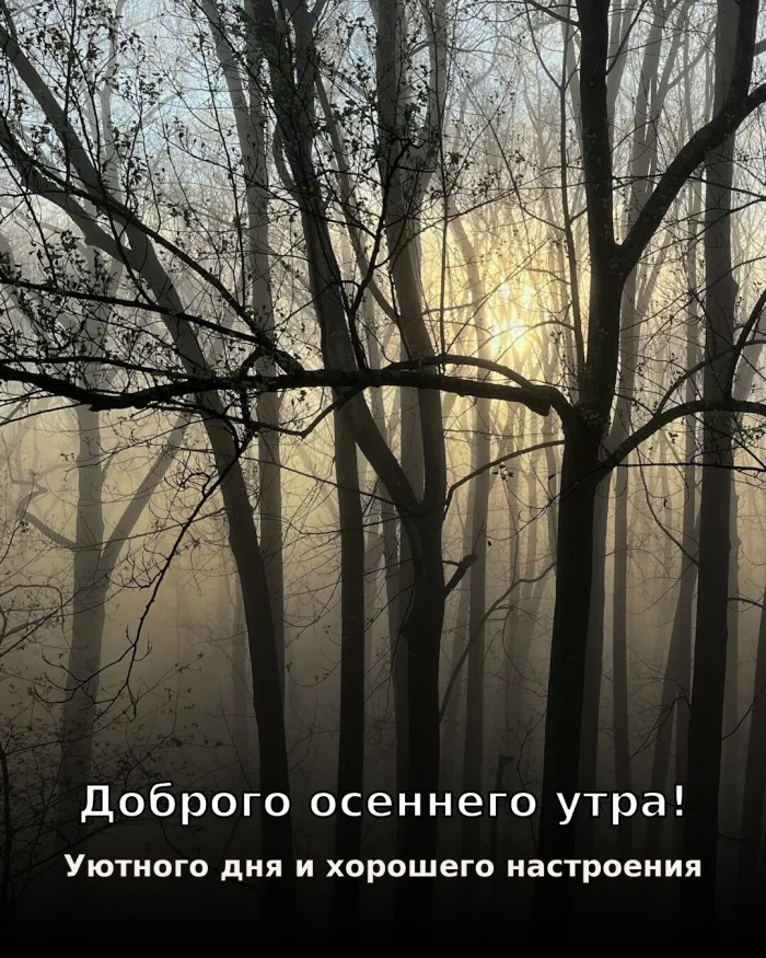Красивые картинки Доброе утро осени. Красивые картинки «Доброе утро осени»