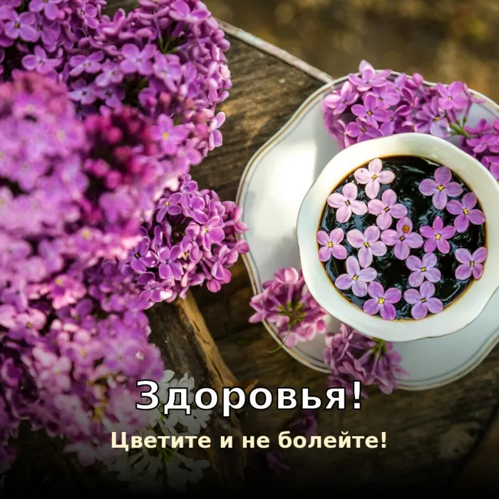 Картинки Доброго здоровья. Здоровья и долголетия