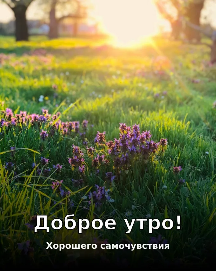 Картинки Доброго здоровья. С добрым утром — здоровья и бодрости на день