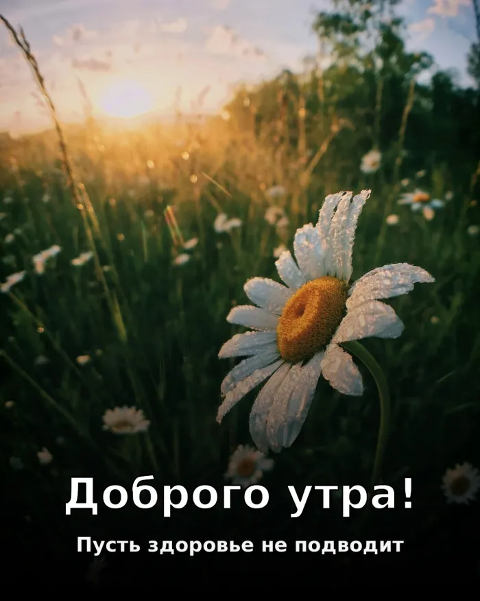 Картинки Доброго здоровья. С добрым утром — здоровья и бодрости на день
