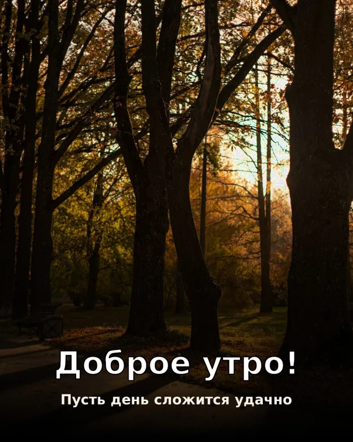 Красивые картинки Доброе утро осени. Открытки с добрым осенним утром — скачать бесплатно