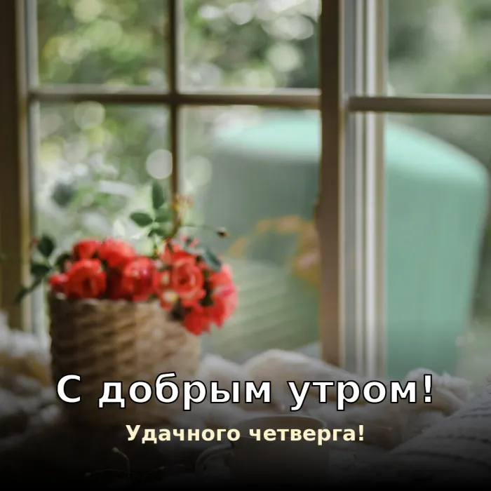 Картинки с Добрым утром четверга. Доброе утро четверга с цветами
