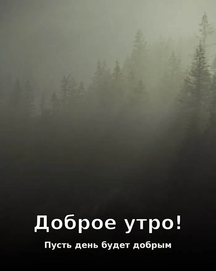 Красивые картинки Доброе утро осени. Красивые картинки «Доброе утро осени»