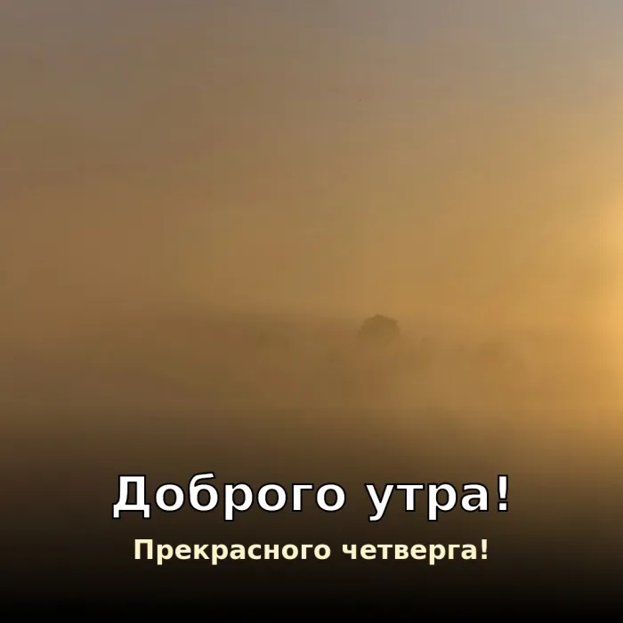 Картинки с Добрым утром четверга. Доброе утро четверга