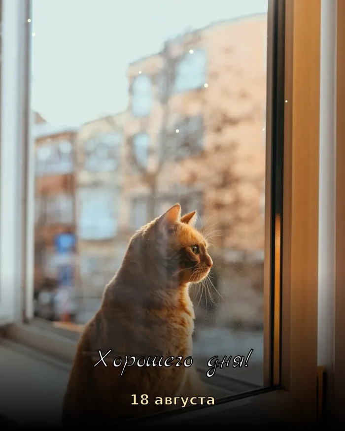 Красивые картинки Доброе утро августа. Доброе августовское утро, 18 августа