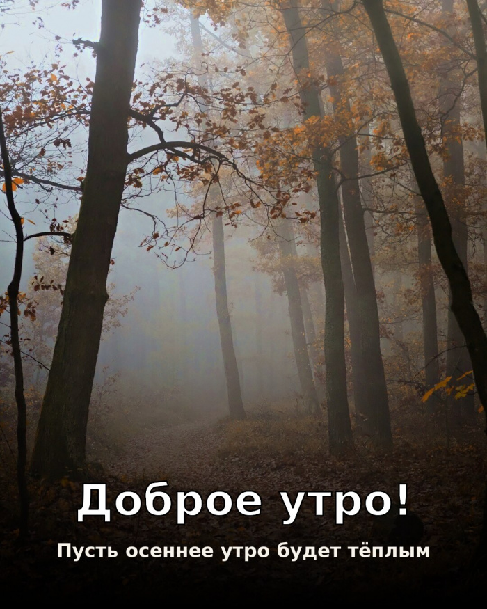 Красивые картинки Доброе утро осени